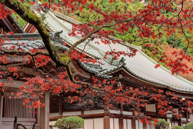 大雄山最乗寺「最乗の秋」